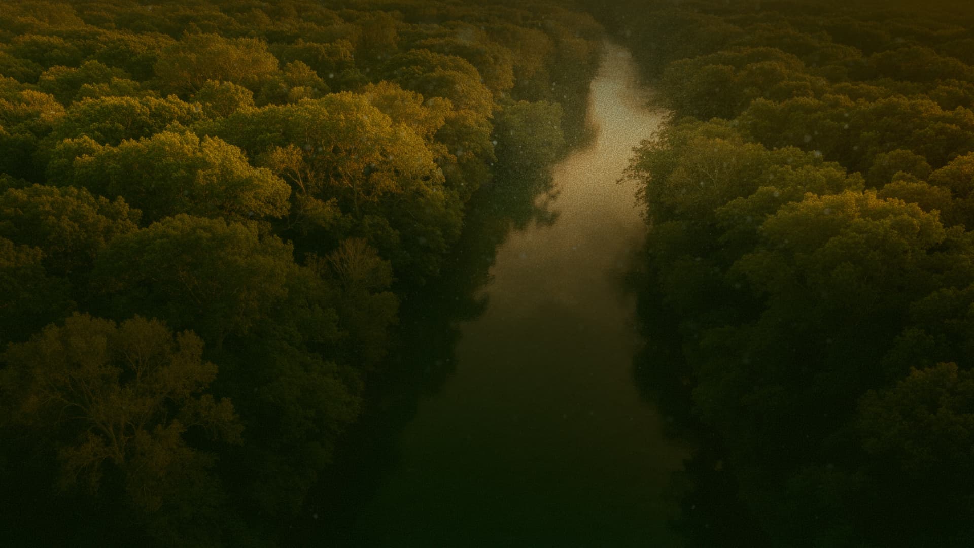 Original unoptimized image