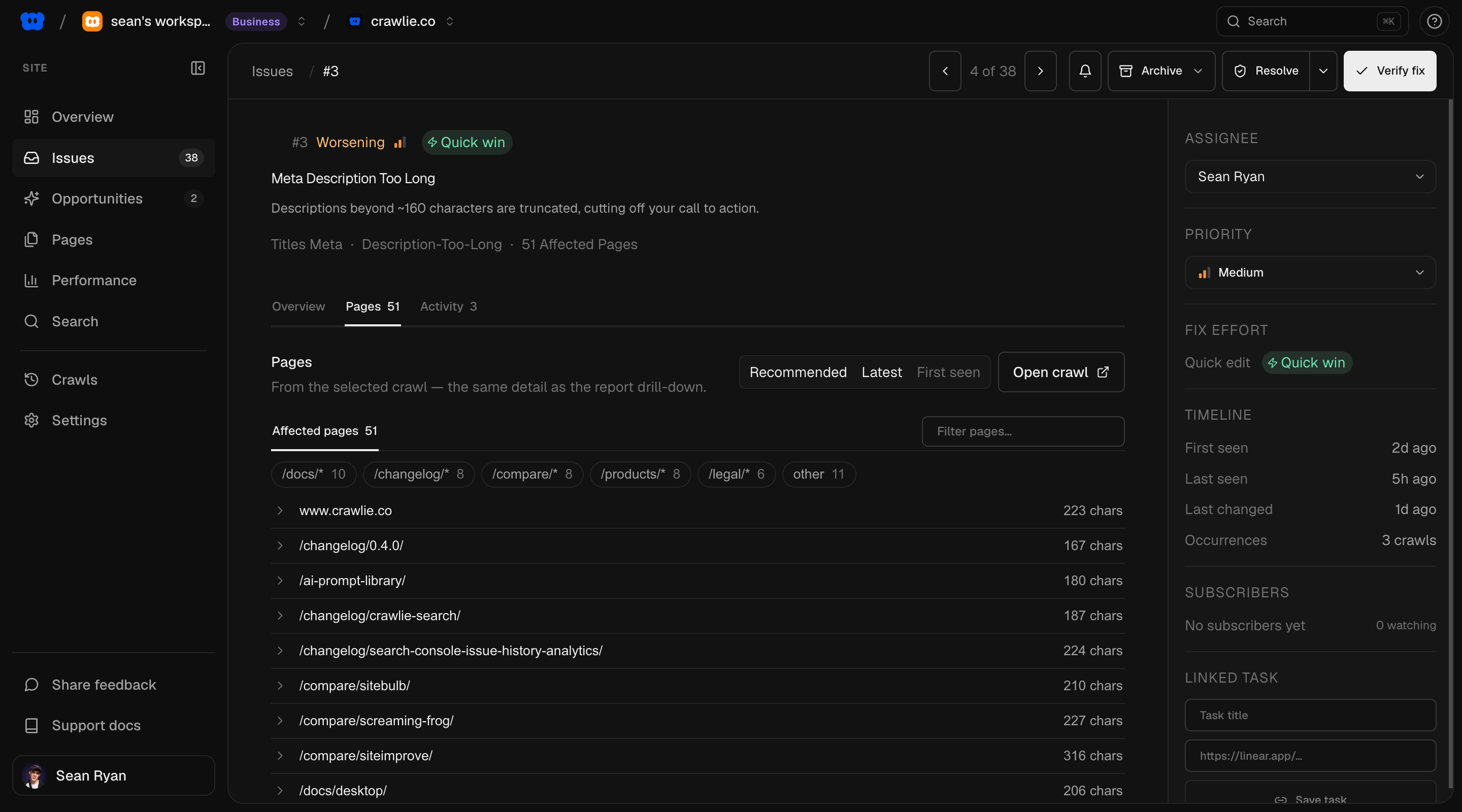 A single issue up close: plain-English explanation, quick-win label, affected pages grouped by URL pattern, assignee, priority and a Verify fix button